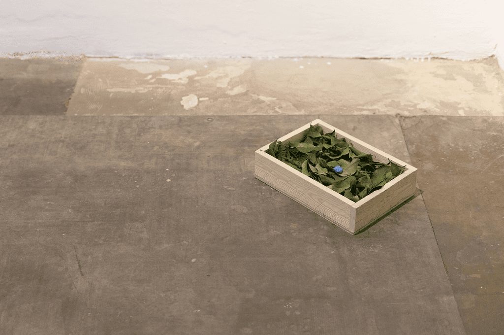 Immagine home 2